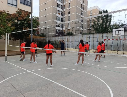 Arrenca la temporada de les quatre seccions esportives de l’AEFSA