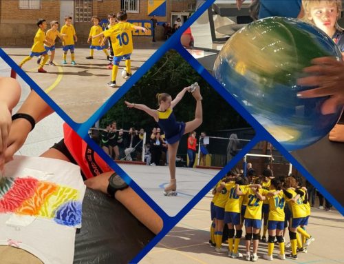 Vine a treballar a l’AE FS Arrels!